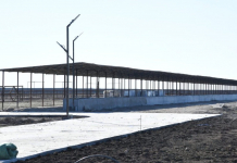 ТҮРКІСТАН: Отырарда 5 мың бас малға арналған бордақылау алаңы салынып жатыр