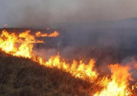 Қарағанды облысындағы табиғи өрт сөндірілді