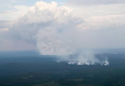 Ресей Қорғаныс министрлігінің әуе күштері 700 мың гектар жердегі өртті сөндірді  