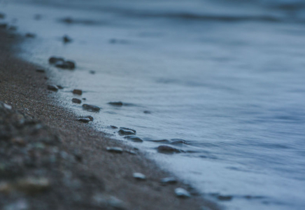 Қауіпті вирус табылды: Алматыдағы Сайран көліне шомылуға тыйым салынды  