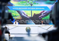 Экология министрлігі: ел бойынша 1 млрд-тан астам ағаш отырғызылды