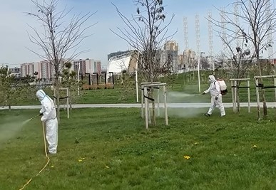 Шымкентте масаға қарсы залалсыздандыру жұмыстары басталды