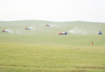 ТҮРКІСТАН: Өңірде шегірткеге қарсы күрес жұмыстары қарқын алды