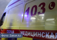 Ақтөбеде жылан шаққан 16 жастағы жасөспірім жансақтау бөліміне түсті