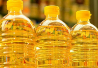 СҚО-да Tiryaki Agro компаниясы май өндіру зауытын салады