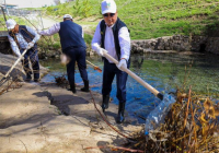 Олжас Бектенов Түркістан облысында «Мөлдір бұлақ» акциясына қатысты