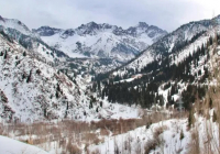 Алматы тауларында қарулы ер адам ұсталды