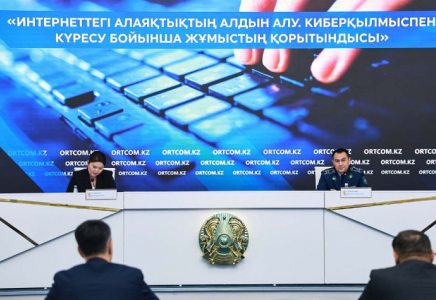 Елімізде жыл басынан бері 11 мыңнан астам киберқылмыс тіркелді