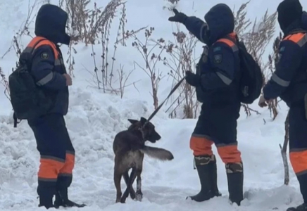 Алматы тауларында қыз баланың мәйіті табылды