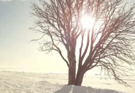 Қазақстанда күн күрт суытып, аяз -30 градусқа дейін жетеді