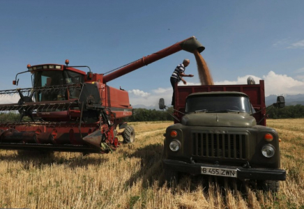 Қазақстанда 2028 жылға дейін астықты терең өңдейтін 5 ірі кәсіпорын іске қосылады