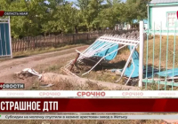 Бестеректегі қайғылы оқиға: жүргізуші жол апатынан кейін адамдарды танымай қалған