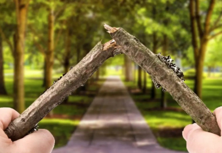 Енді әкімдіктер де полиция сияқты қазақстандықтарға айыппұл сала алады