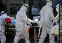 Бангладеште нипах вирусынан бір адам қайтыс болды