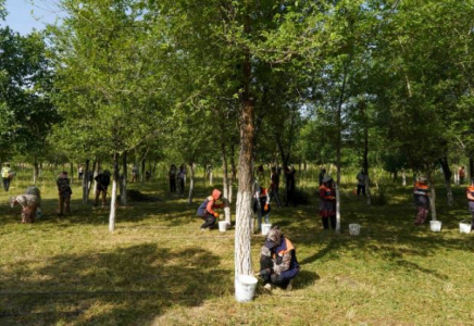 Түркістанда Дүниежүзілік қоршаған ортаны қорғау күні аталып өтті