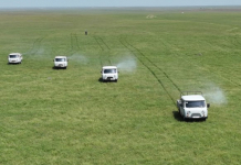 ТҮРКІСТАН: Шегірткеге қарсы күресте техника мен жұмыс күшін түгендеу күнделікті жүргізіледі