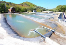 ТҮРКІСТАН: Кәсіпкерлерге балық шаруашылығын қолдау шаралары түсіндірілді