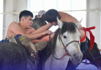 ​НАУРЫЗНАМА АЯСЫНДА: ШЫМКЕНТТЕ АУДАРЫСПАҚТАН АШЫҚ ҚАЛА БІРІНШІЛІГІ ӨТІП ЖАТЫР