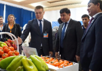 ТҮРКІСТАН: Ордабасыда «Нәтижелер жәрмеңкесі» өтті