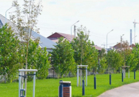 Түркістан облысында күзгі көшет отырғызу жұмыстары қарқынды жүріп жатыр