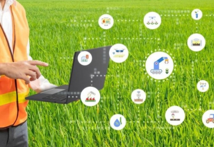 Қазақстанның 648 ауыл шаруашылығы өндірушісі цифрлық технологиялар мен жасанды интеллект элементтерін енгізіп жатыр