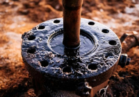 Грузияда үш қазақстандық мұнайға қатысты алаяқтық жасады деген күдікпен ұсталды