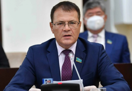 Сенатор Алматының таулы және тау бөктеріндегі аудандарында құрылысқа мораторий жариялауды ұсынды