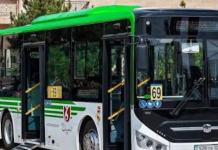 ​ШЫМКЕНТТЕ РЕФЕРЕНДУМ КҮНІ ҚОҒАМДЫҚ КӨЛІКТЕ ЖҮРУ ТЕГІН БОЛАДЫ