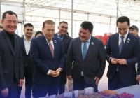 ШЫМКЕНТ: мәжілісмендер құны 650 млн долларлық ірі жылыжай кешені жобасының іске асырылу барысымен танысты