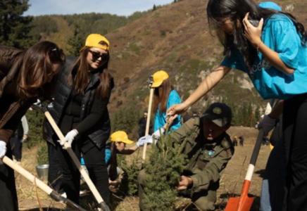 ​Студенты и молодежь Алматы объединились для высадки 2 000 деревьев на Кок-Жайлау