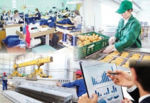 ТҮРКІСТАН: Мүгедектігі бар азаматтарды жұмыспен қамту шаралары жүйелі жүргізіліп жатыр