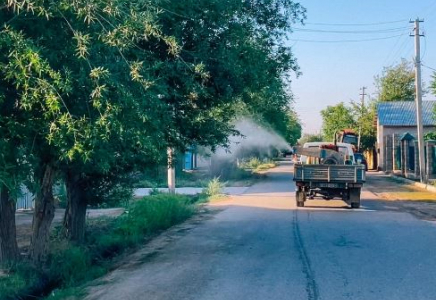 ТҮРКІСТАН: Шардарада шіркейге қарсы жұмыстар күшейтілді