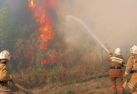 Елде бір тәулікте 55 орман өрті тіркелді