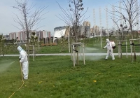 Шымкентте масаға қарсы залалсыздандыру жұмыстары басталды