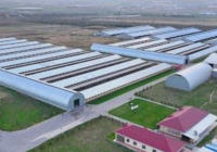Түркістандағы индустриалды аймақтың жұмысы жанданады