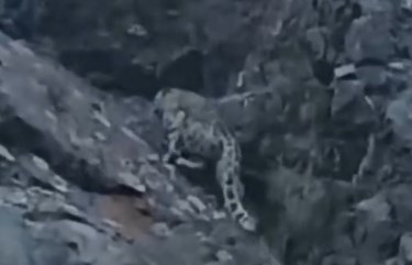 Жетісуда қар барысы видеоға түсіп қалды