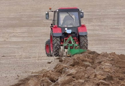 ТҮРКІСТАН: Шегіртке зиянкесіне қарсы жер жырту жұмыстары басталды