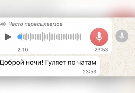 «Айыппұл аласыз»: полиция желіде тараған ақпаратқа жауап берді