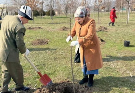 «ТАЗА ҚАЗАҚСТАН»: Түлкібастағы сенбілікке 500-ге жуық тұрғын атсалысты