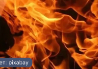 Жетісу облысында қамысты алқап өртеніп жатыр
