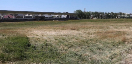 ТҮРКІСТАН: Сарыағаштағы орталық стадион күрделі жөндеуден өткізіліп жатыр
