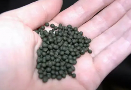 Қазақстанның қай өңірінде насыбайға әуестер көп?