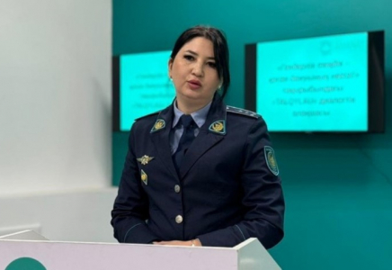 ​ШЫМКЕНТТЕ «ӘЙЕЛ АМАНАТЫ» ЖОБАСЫ АЯСЫНДА ГЕНДЕРЛІК САЯСАТ МӘСЕЛЕЛЕРІ ҚАРАЛДЫ