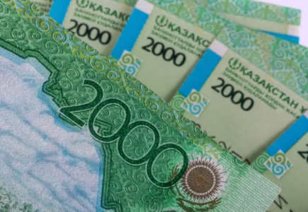 Мұрағат ісі мен ветеринария мамандарына еңбек жағдайы үшін үстемақы белгіленді