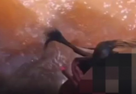 Жайықтағы жантүршігерлік жағдай: Атырауда 15 жастағы бойжеткен көпірден секіріп кетті 