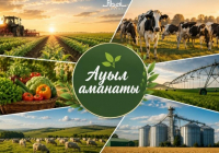 Абай облысында «Ауыл аманаты» бағдарламасы аясында 25 жоба қаржыландырылды