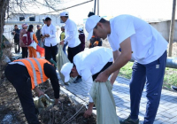 ТҮРКІСТАН: Отырарда канал бойы тазартылды