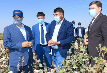 ТҮРКІСТАН: Сапалы тыңайтқыш арқылы өнімді көбейту қолға алынды