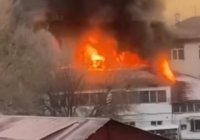 Түркістан облысының әкімі қаза тапқандардың отбасыларына көңіл айтты