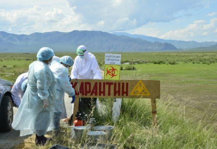 Ақмола облысында сібір жарасының қаупі сейілді